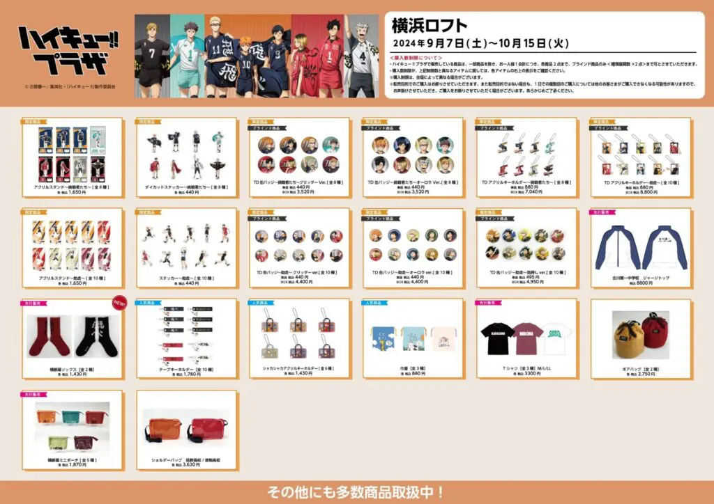 ナツです。(ハイキュープラザの商品) ナツです。(ハイキュープラザの商品) ハイキュー!!プラザ
