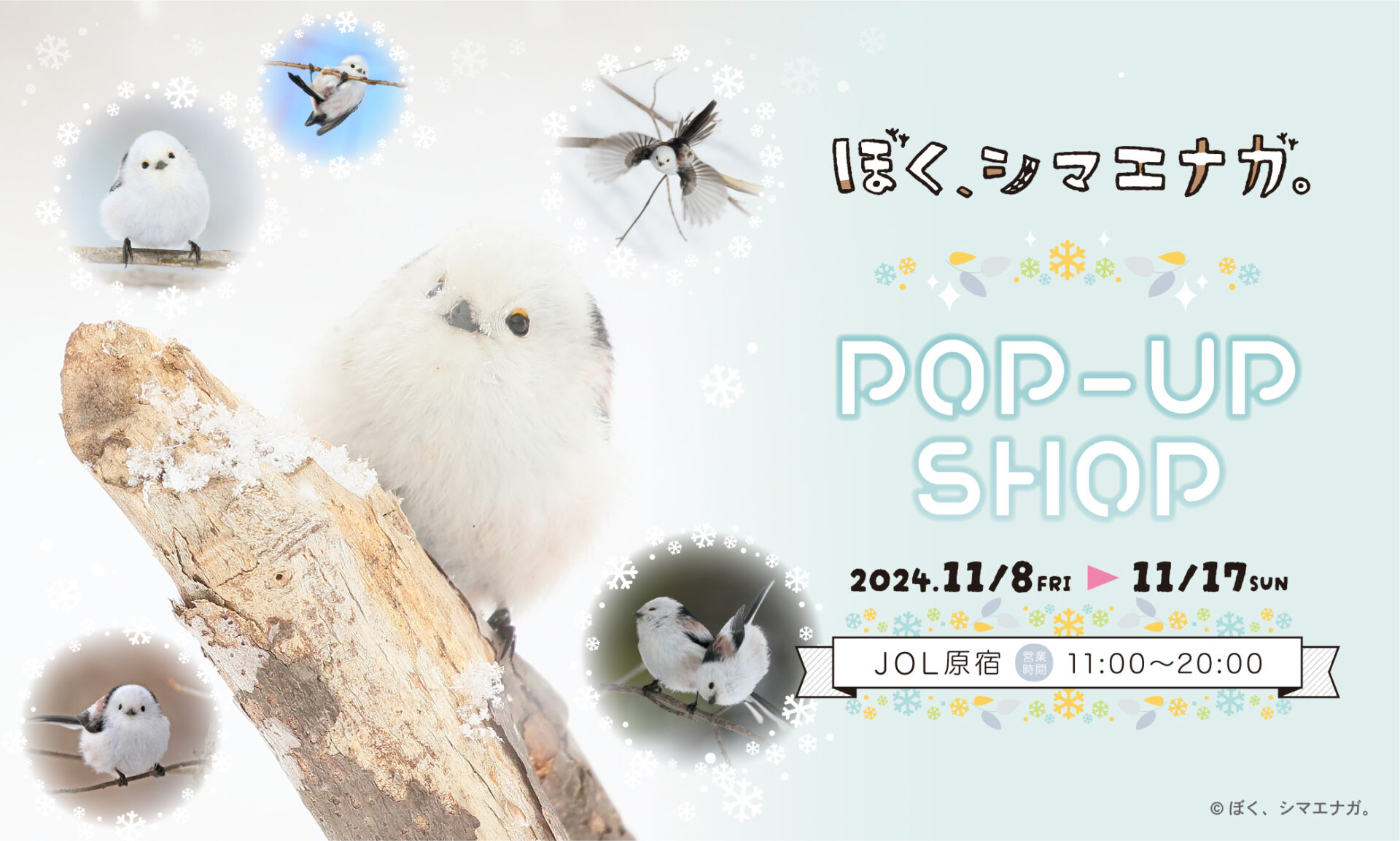 『ぼく、シマエナガ。POP-UP SHOP』が原宿で開催決定！シマエナガグッズが勢ぞろい