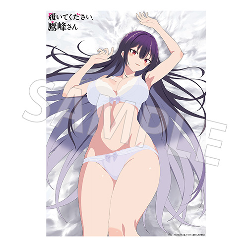 「履いてください、鷹峰さん」お風呂ポスター 下着